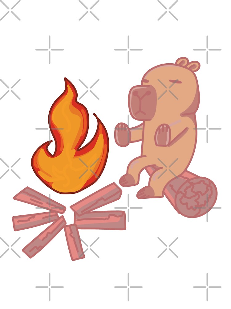 Couple Camping Fire Capybara T-Shirts, Hoodie, Sweatshirt