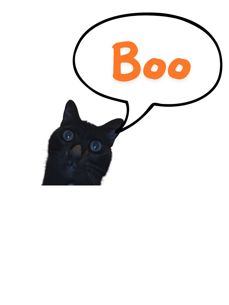 Black Cat Saying Boo T-Shirts, Hoodie, Sweatshirt