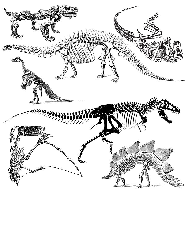 Dinosaur Fossils Dark Academia Aesthetic by AsinusAS T-Shirts, Hoodie, Sweatshirt | BlankRebels.com (Image 3)