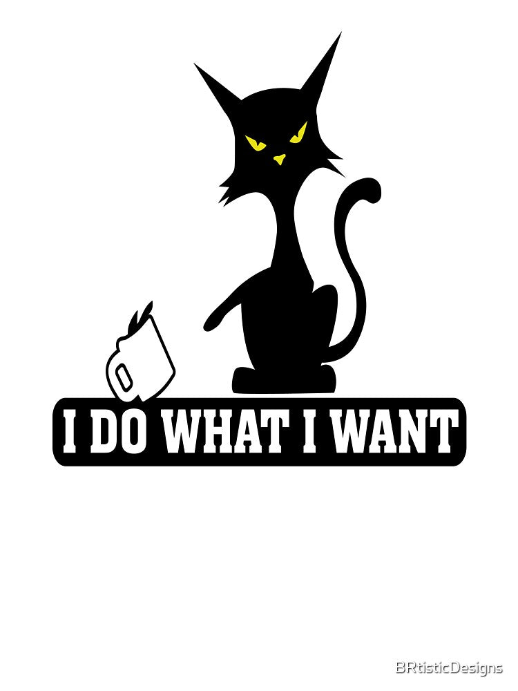 I DO WHAT I WANT, funny cat design by BRtisticDesigns T-Shirts, Hoodie, Sweatshirt | BlankRebels.com (Image 3)