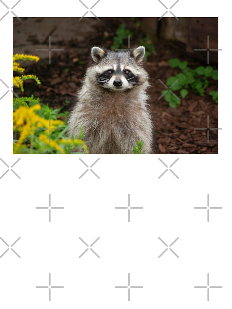 Raccoon Photo by TheAnimalZ00 T-Shirts, Hoodie, Sweatshirt | BlankRebels.com (Image 3)