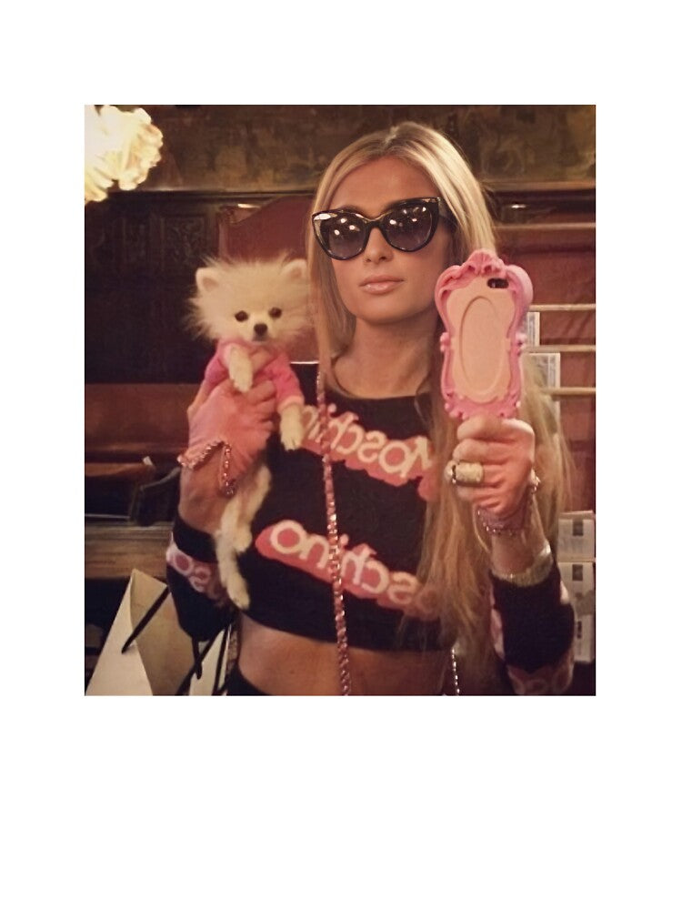 Paris Hilton Y2K by Christopher M. T-Shirts, Hoodie, Sweatshirt | BlankRebels.com (Image 3)
