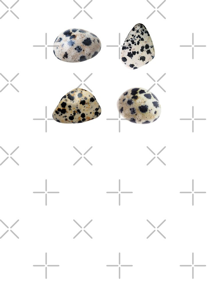 Dalmatian Stone by mooneko T-Shirts, Hoodie, Sweatshirt | BlankRebels.com (Image 3)