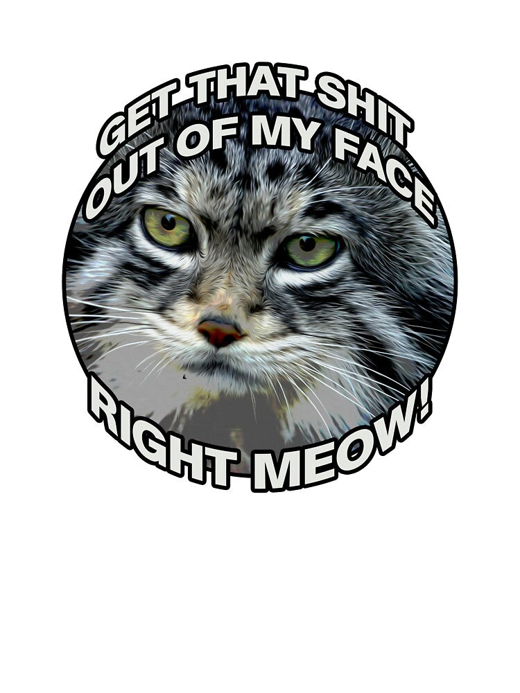 Right Meow T-Shirts, Hoodie, Sweatshirt