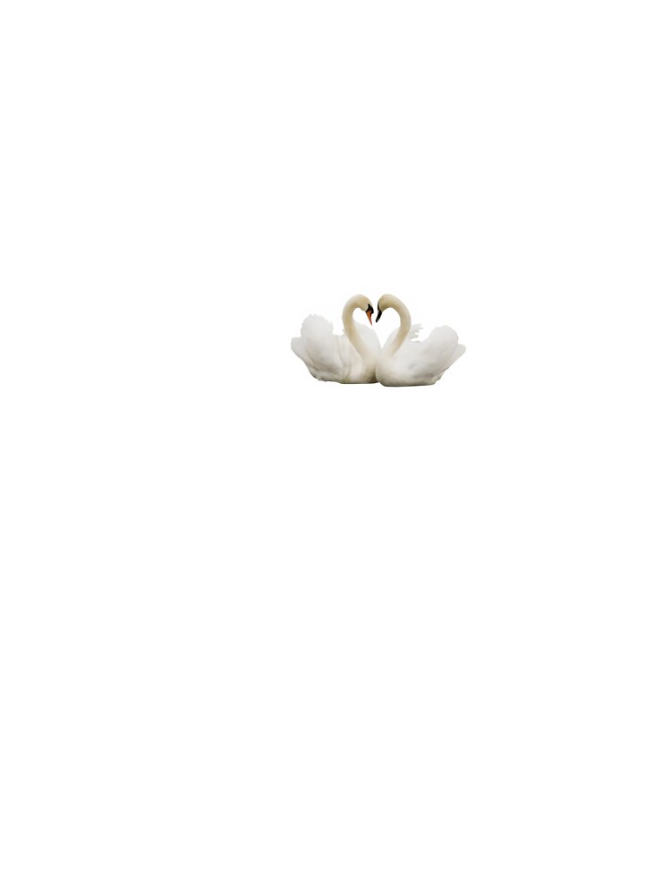 Coquette Swans by mariposa-23 T-Shirts, Hoodie, Sweatshirt | BlankRebels.com (Image 2)