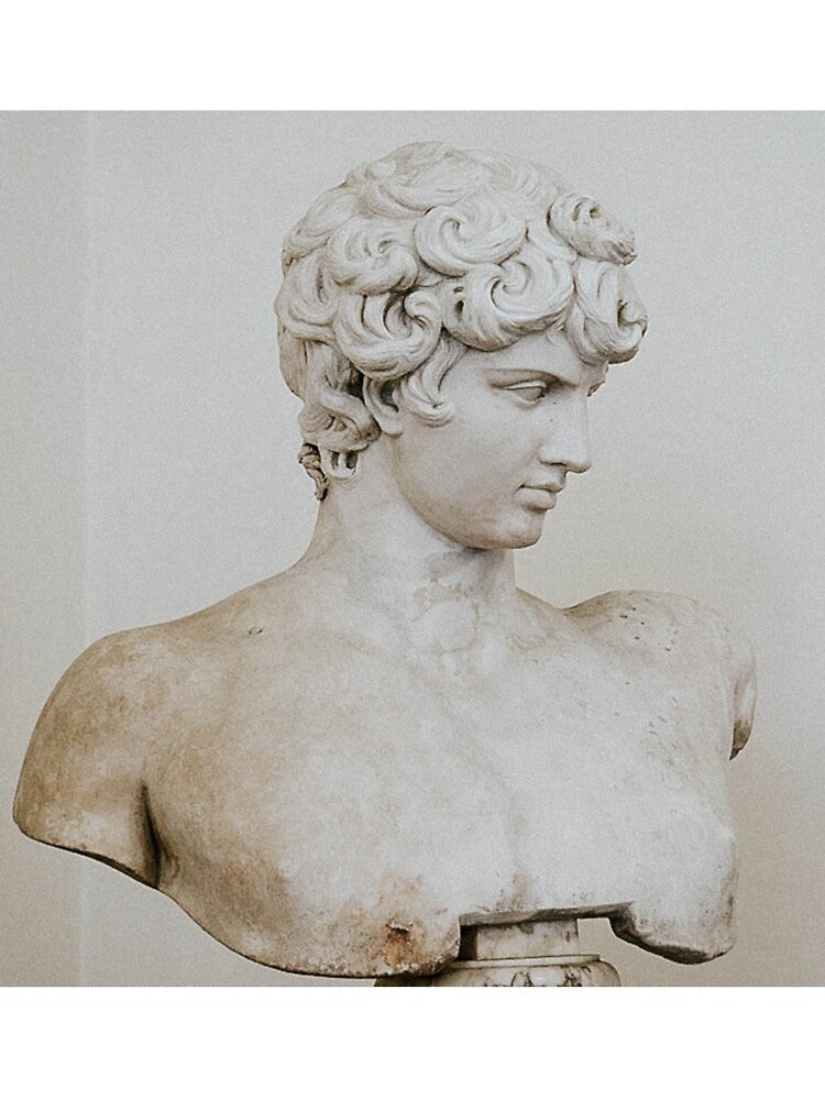 Ludovisi Antinous by apopofbeauty T-Shirts, Hoodie, Sweatshirt | BlankRebels.com (Image 3)