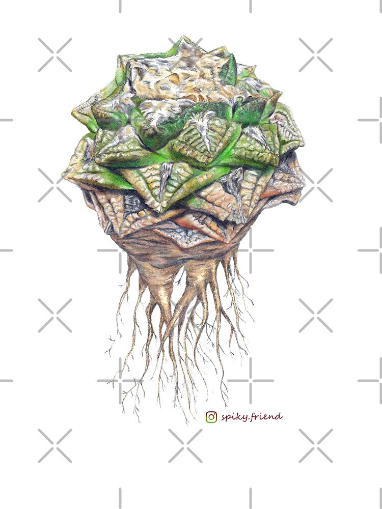 Minimal Ariocarpus fissuratus by spiky-friend T-Shirts, Hoodie, Sweatshirt | BlankRebels.com (Image 3)