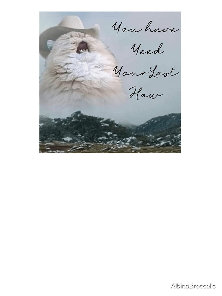 You Have Yeed Your Last Haw by AlbinoBroccolis T-Shirts, Hoodie, Sweatshirt | BlankRebels.com (Image 3)
