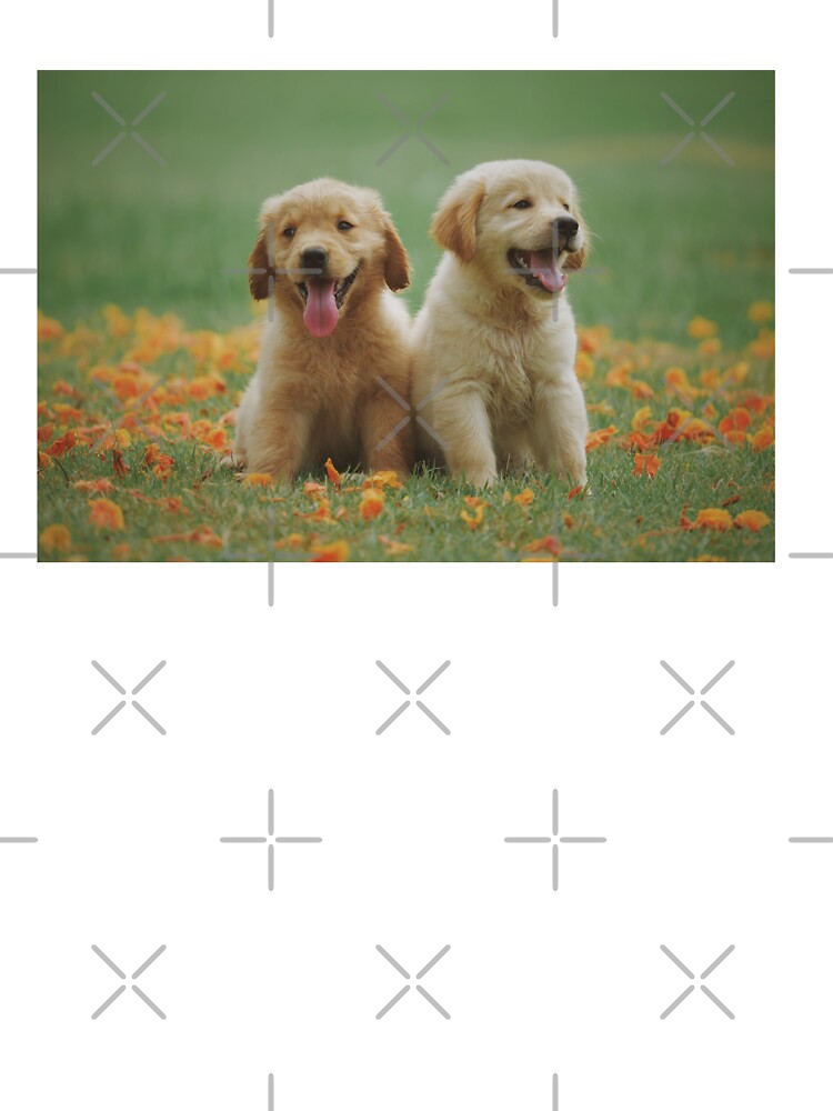 Golden Retriever Puppies Photo by TheAnimalZ00 T-Shirts, Hoodie, Sweatshirt | BlankRebels.com (Image 3)