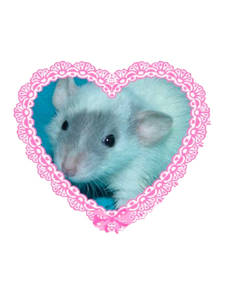 Cute Rat T-Shirts, Hoodie, Sweatshirt