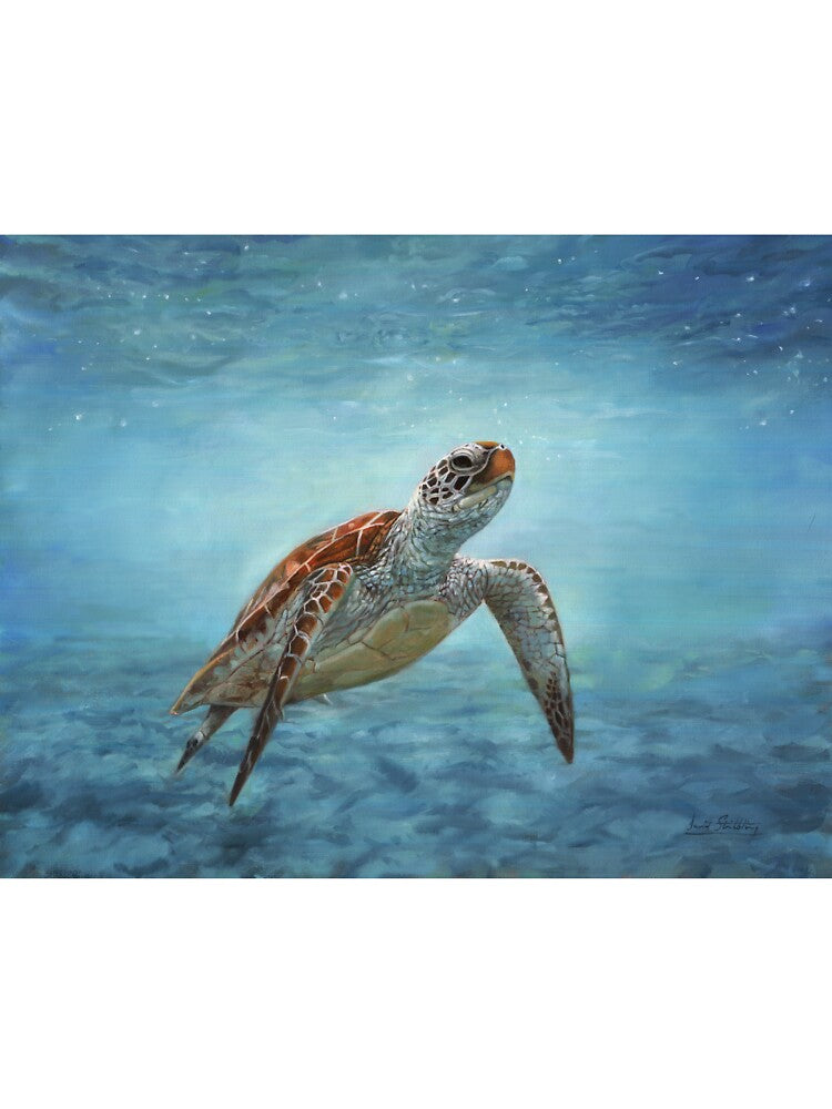 Sea Turtle by David Stribbling T-Shirts, Hoodie, Sweatshirt | BlankRebels.com (Image 3)