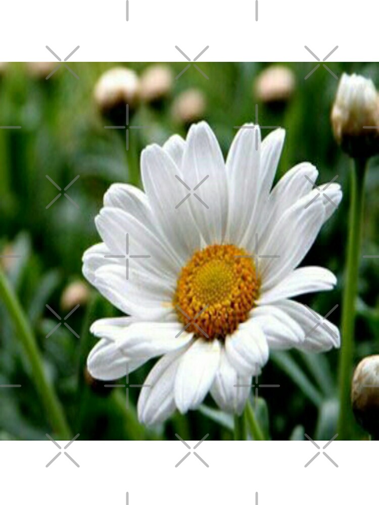 Sun flowers by Shahid1234 T-Shirts, Hoodie, Sweatshirt | BlankRebels.com (Image 3)