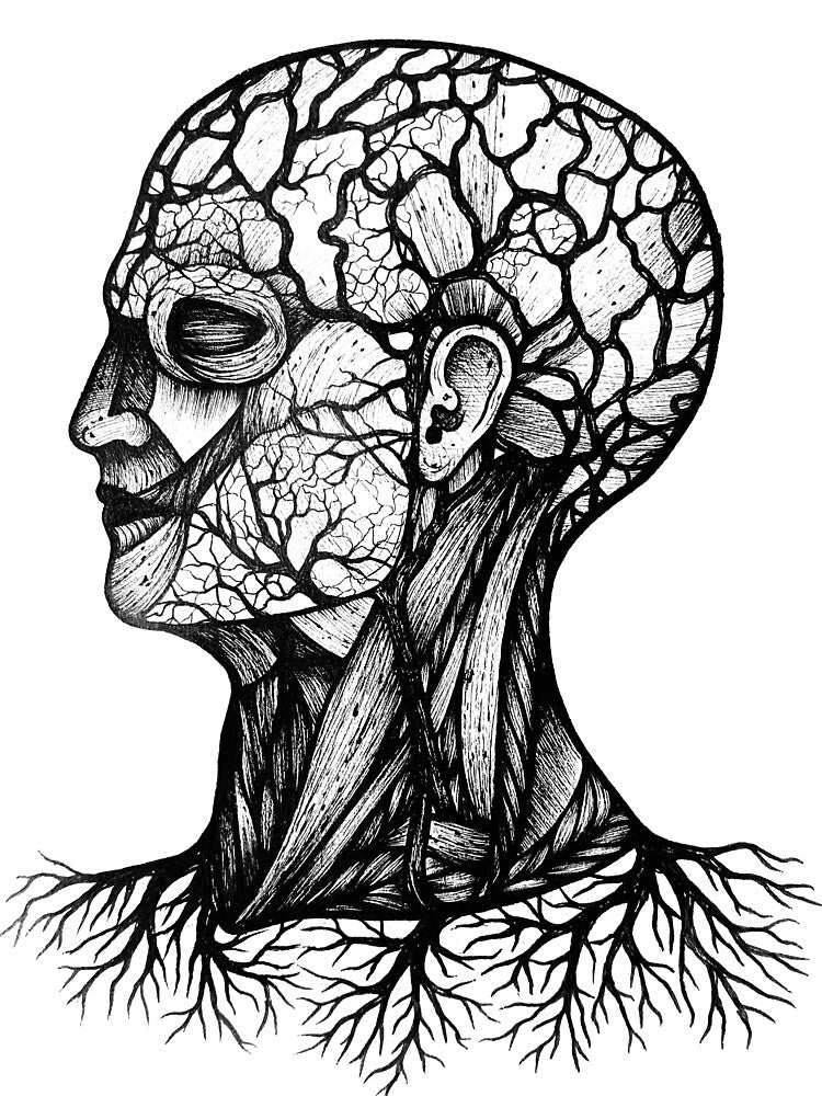 Anatomy of Thought by AbraPainting T-Shirts, Hoodie, Sweatshirt | BlankRebels.com (Image 3)