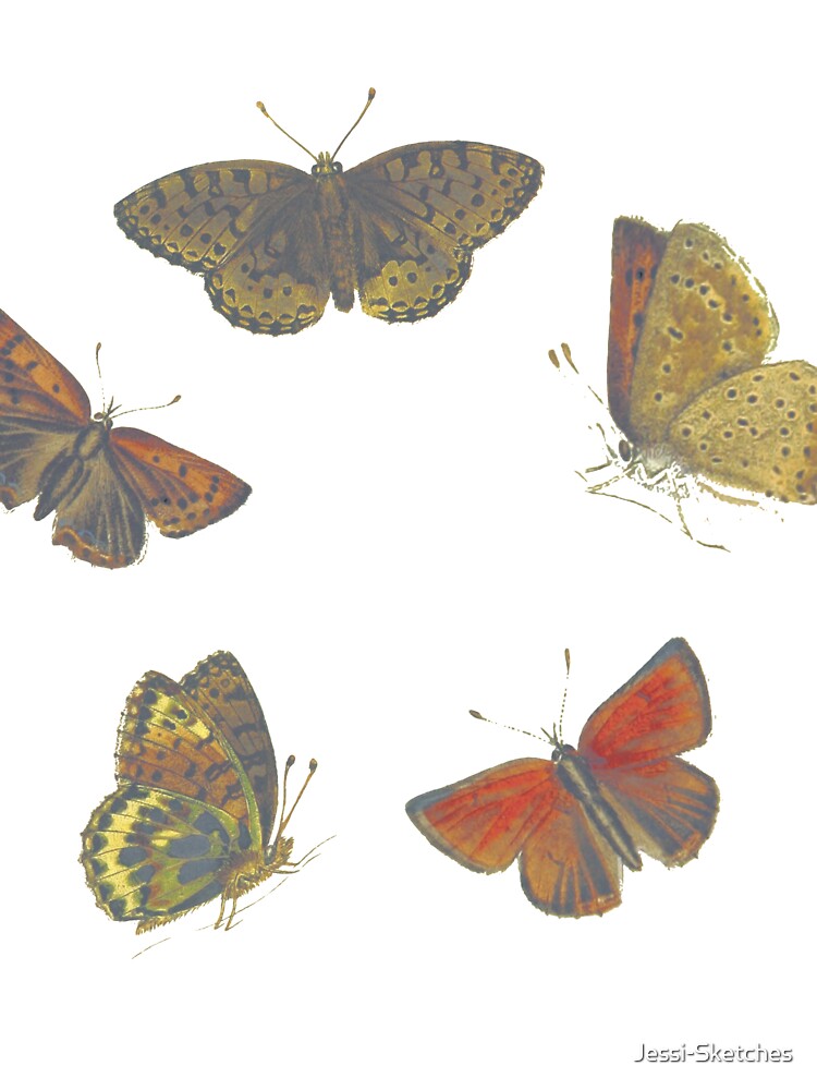 Cottagecore Moths by Jessi-Sketches T-Shirts, Hoodie, Sweatshirt | BlankRebels.com (Image 3)