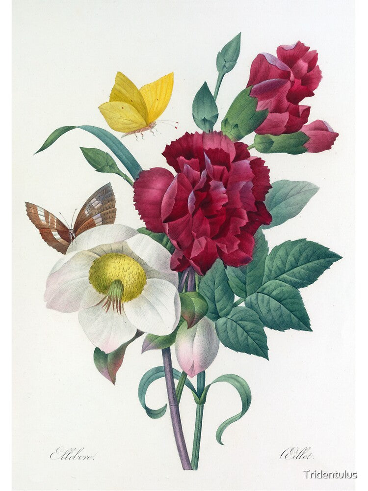 Botanical Print: Hellebore and L'Oeillet by Tridentulus T-Shirts, Hoodie, Sweatshirt | BlankRebels.com (Image 3)