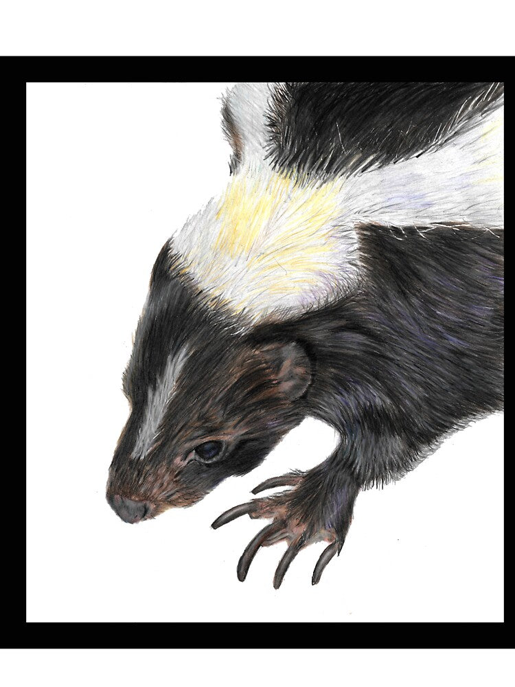 Skunk drawing by Sarah Williams-Nash T-Shirts, Hoodie, Sweatshirt | BlankRebels.com (Image 3)