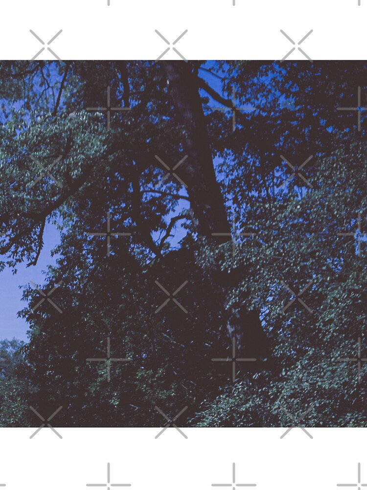 vintage aesthetic dazecore aesthetic photography 1:1 by sielexis T-Shirts, Hoodie, Sweatshirt | BlankRebels.com (Image 3)