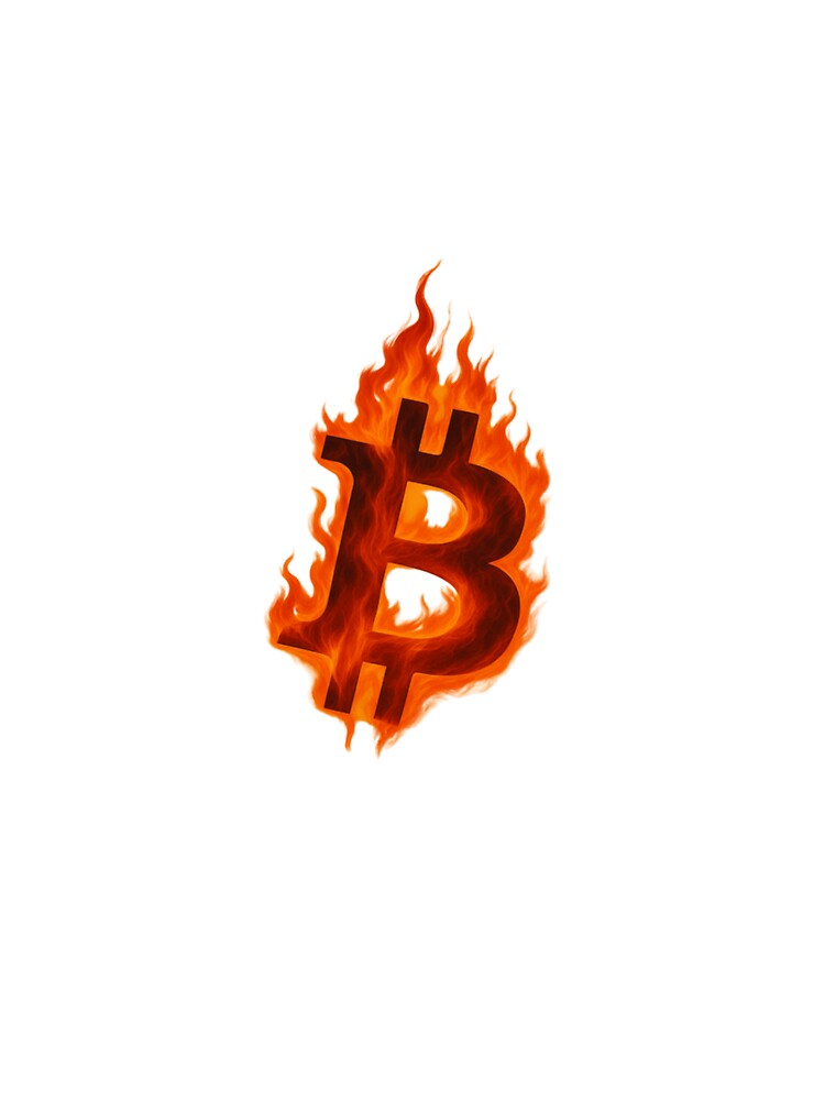 Burncoin: The Flame of Crypto by FrenchTouch77 T-Shirts, Hoodie, Sweatshirt | BlankRebels.com (Image 3)
