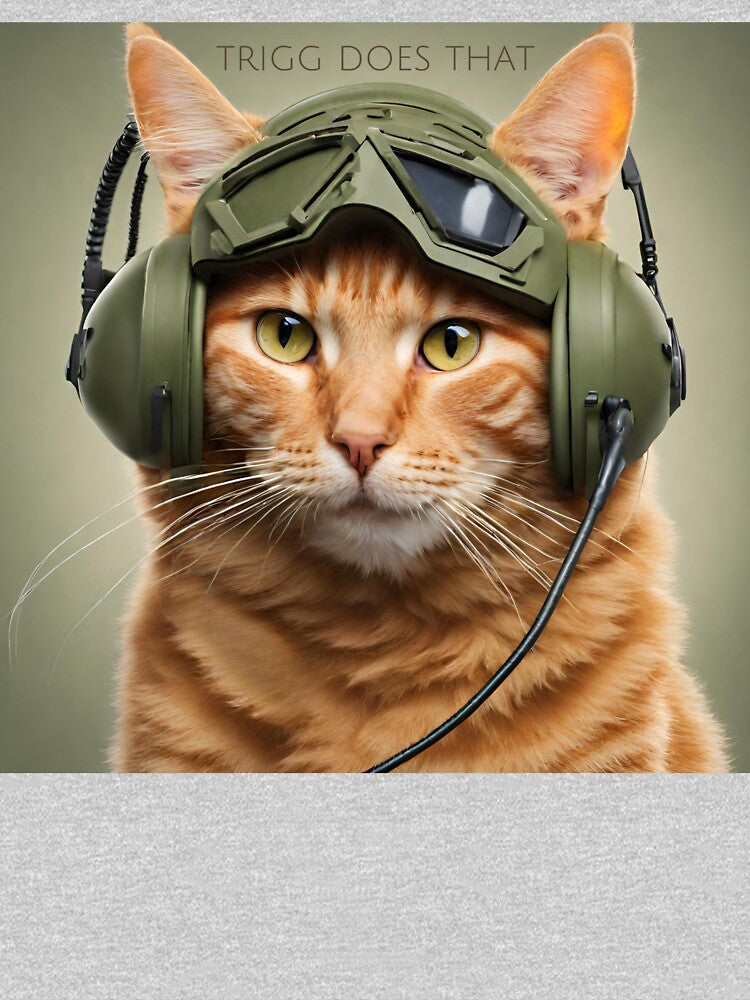 TRIGG DOES THAT - Radio Controller Ginger Cat by TriggDoesThat