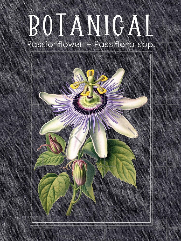 Passionflower - Passiflora spp. - Botanical Collection by StudioRedKoala T-Shirts, Hoodie, Sweatshirt (Image 3)