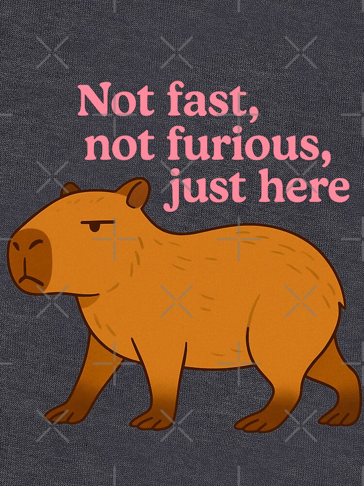 Not Fast, Not Furious, Just Here – Chill Capybara Design by Soft rot studio T-Shirts, Hoodie, Sweatshirt (Image 3)