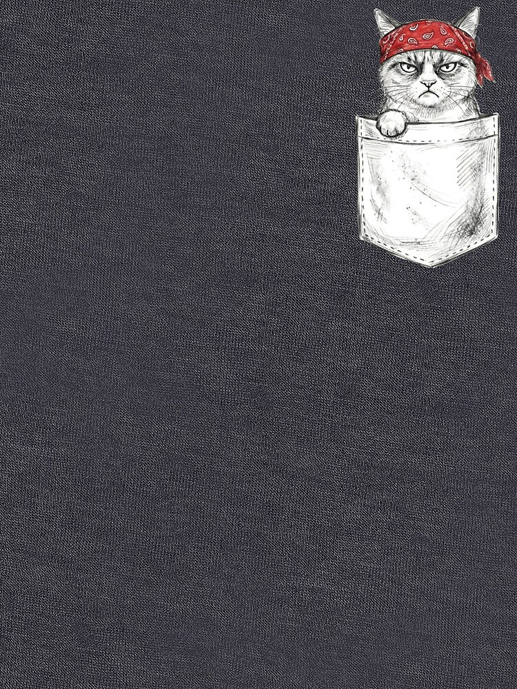 Grumpy Barn Cat Pocket Ranch Boss Funny Western Kitty & Farm Life T-Shirts, Hoodie, Sweatshirt