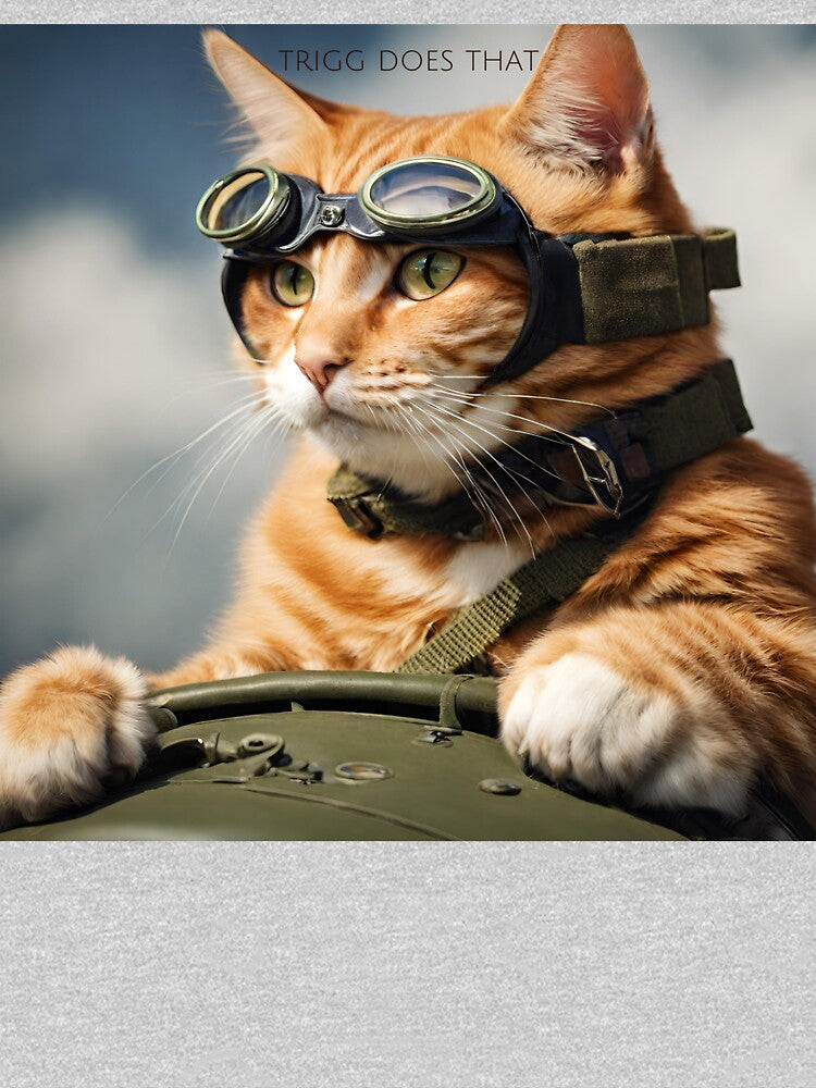 TRIGG DOES THAT - Flying Ace Pilot Ginger Cat by TriggDoesThat