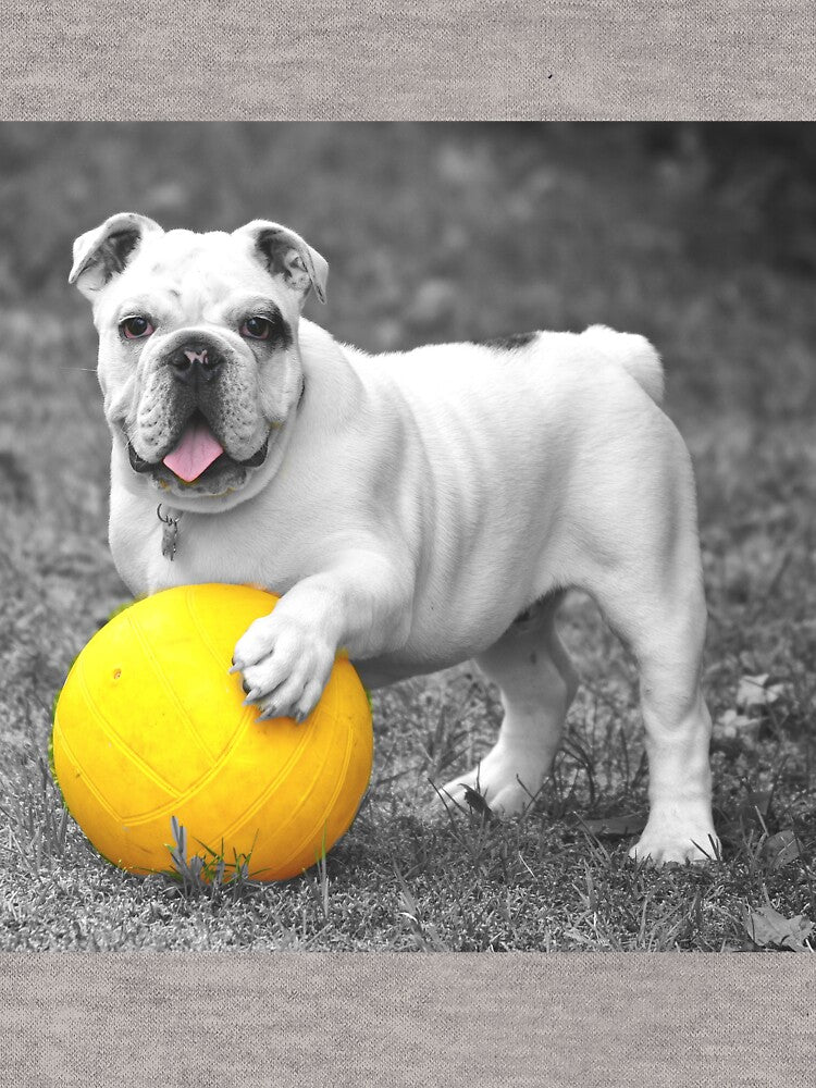 Buldog Player by serbandeira