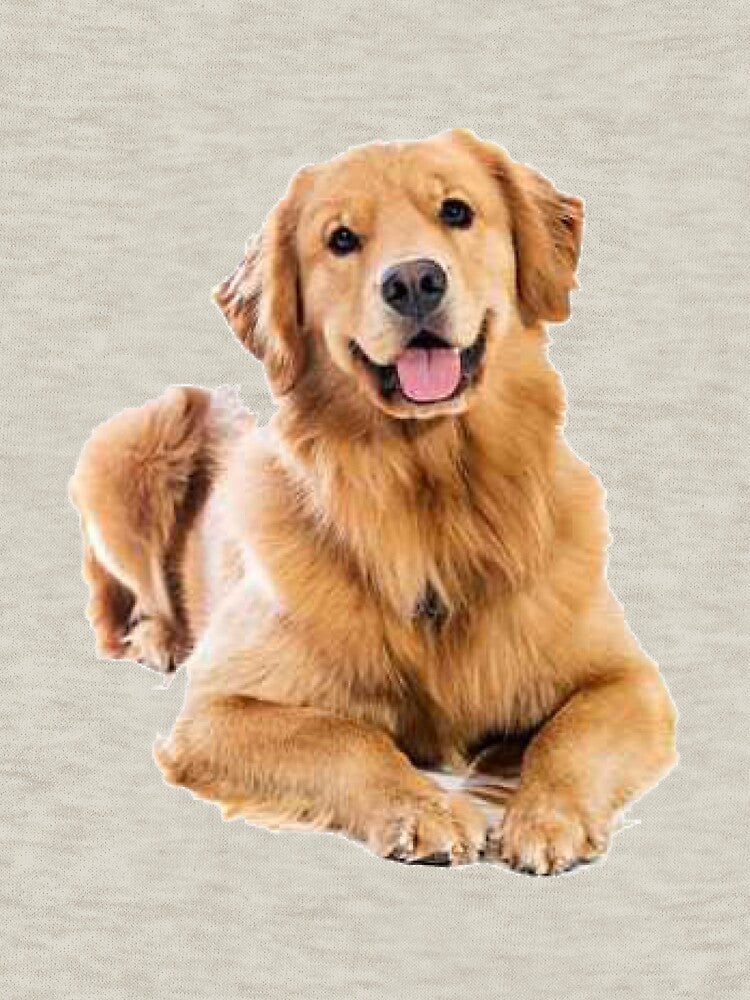 We love Golden Retriever! by Nurlan Puchakhov T-Shirts, Hoodie, Sweatshirt | BlankRebels.com (Image 3)