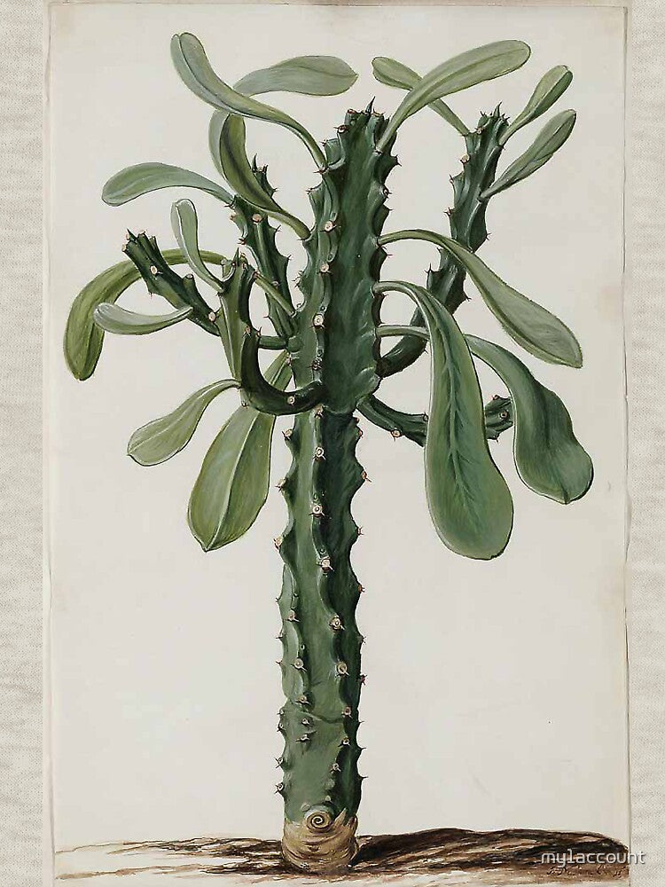 Euphorbia by Jan Moninckx by Hanna Hanuman T-Shirts, Hoodie, Sweatshirt | BlankRebels.com (Image 3)
