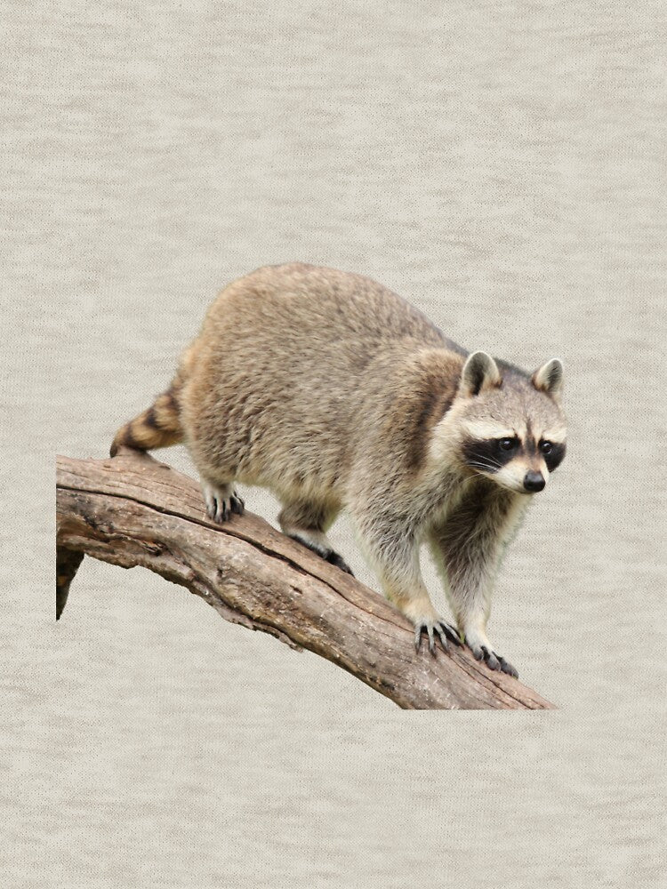 Raccoon on a tree by Spuffy Dan T-Shirts, Hoodie, Sweatshirt | BlankRebels.com (Image 3)