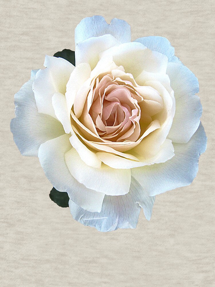 White rose Flower Aesthetic by occultart T-Shirts, Hoodie, Sweatshirt | BlankRebels.com (Image 3)
