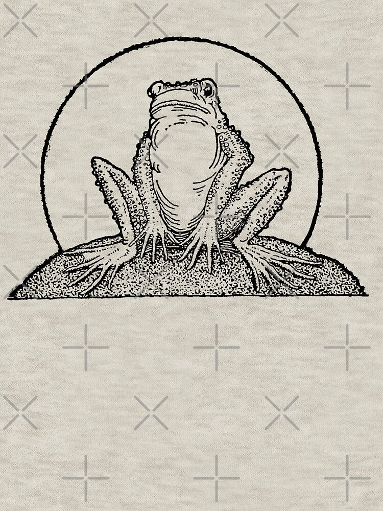 Vintage Cottagecore: Sad Frog Sitting Under Full Moon, Emo Goblincore Style with Meadowcore Woodland Look by... (Image 3)