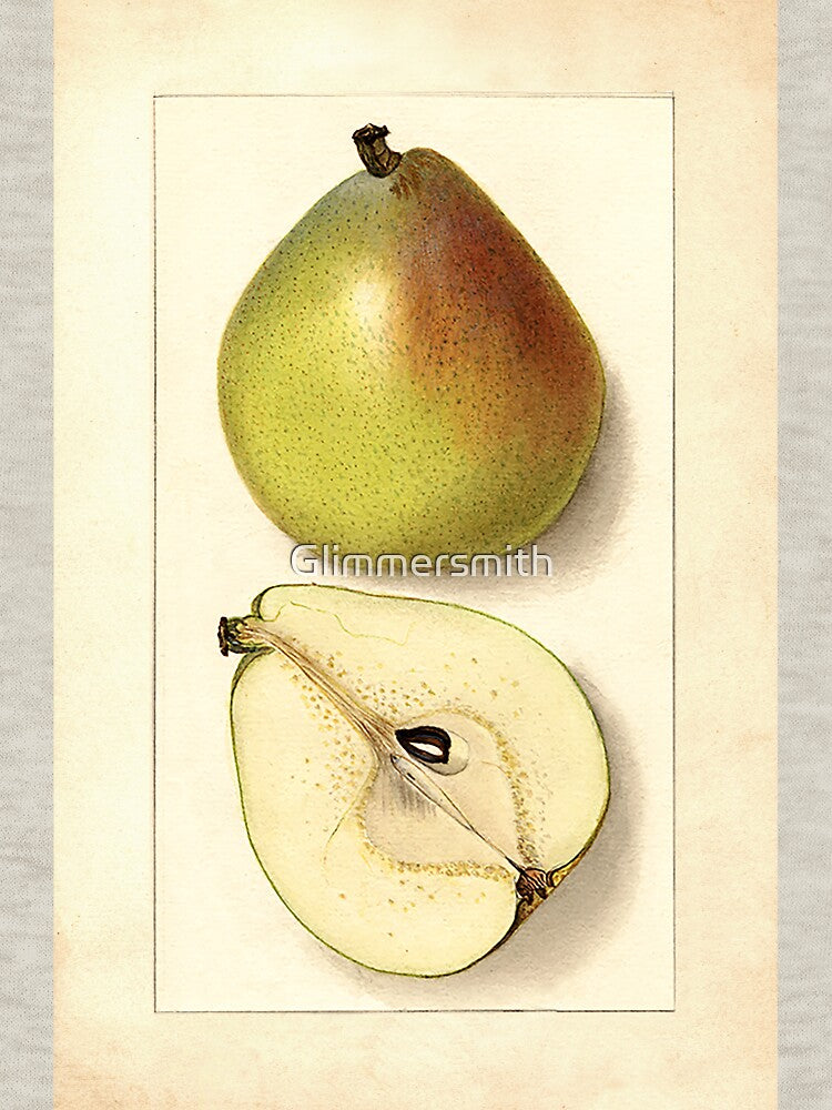 Vintage Botanical Fruit Anjou Pear Watercolor Painting by Glimmersmith T-Shirts, Hoodie, Sweatshirt (Image 3)