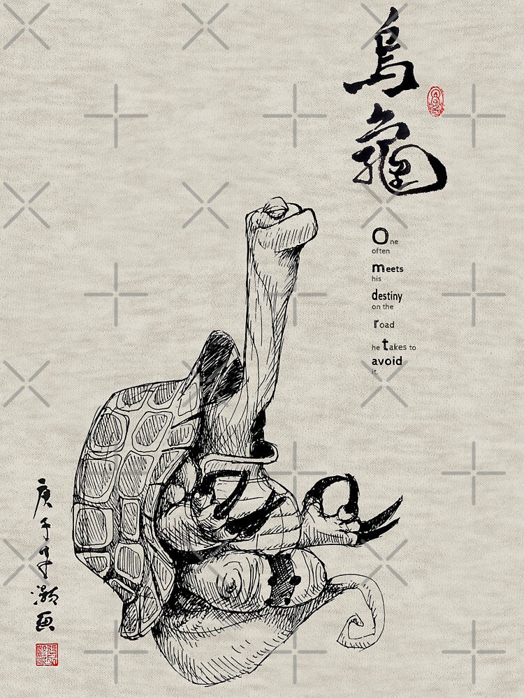 Master Oogway Meditating by Huluhua