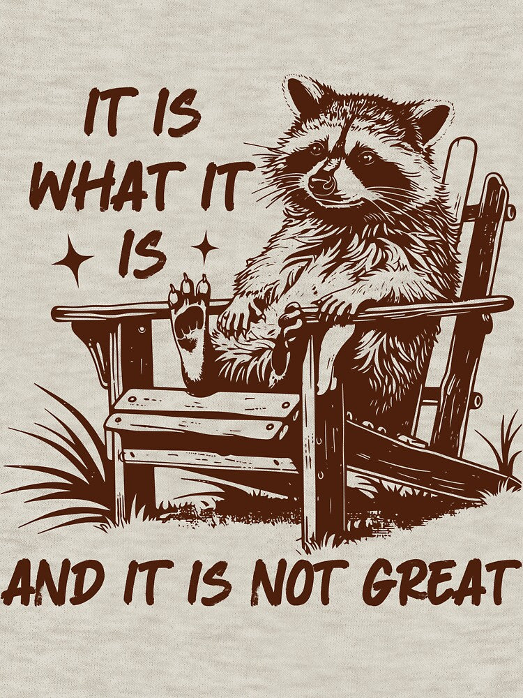 It Is What It Is And It Is Not Great Funny Shirt For Raccoon Lovers, Gift For Men, For Women by NotOnYourChance... (Image 3)