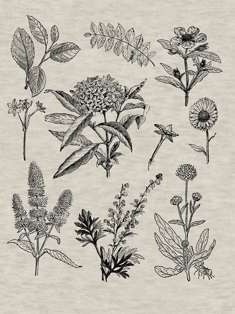 Vintage Flowers - Botanical Graphic by OutfitduJour T-Shirts, Hoodie, Sweatshirt | BlankRebels.com (Image 3)