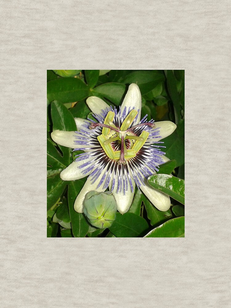 passionflower by Joanne Babb T-Shirts, Hoodie, Sweatshirt | BlankRebels.com (Image 3)