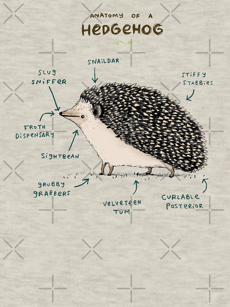 Anatomy of a Hedgehog by SophieCorrigan T-Shirts, Hoodie, Sweatshirt | BlankRebels.com (Image 3)
