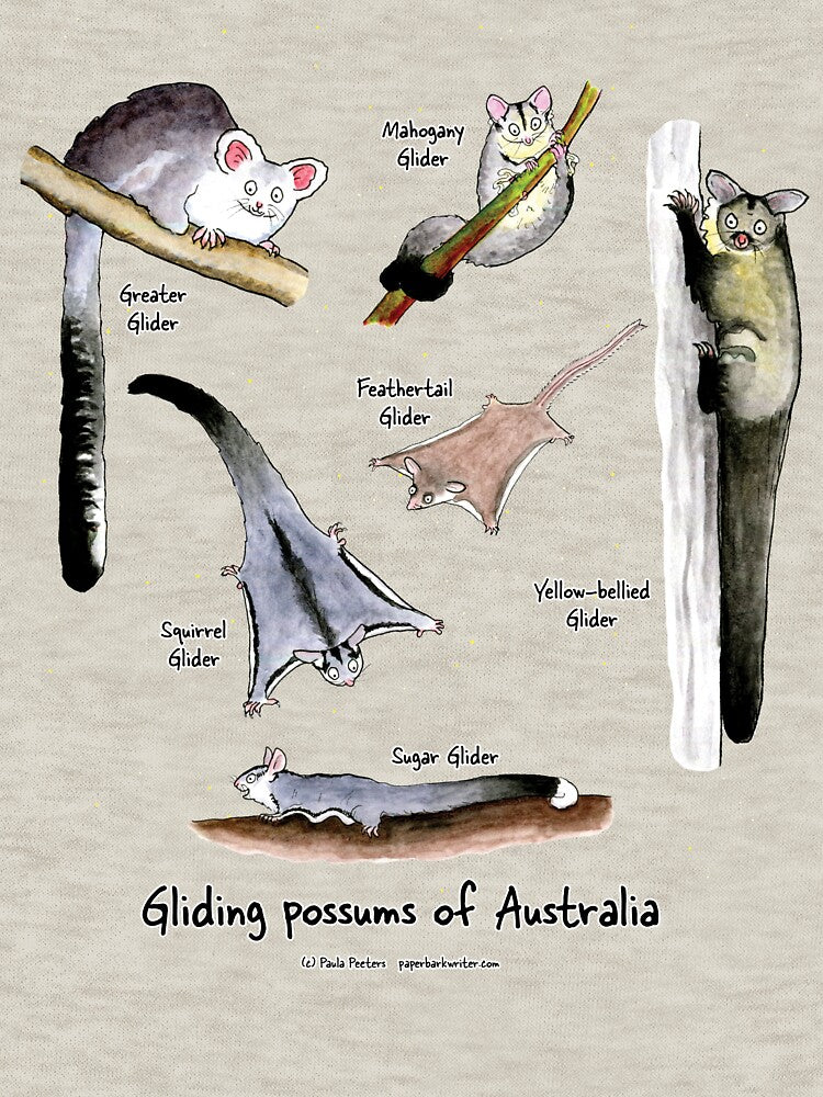 Gliding Possums Australia T-Shirts, Hoodie, Sweatshirt