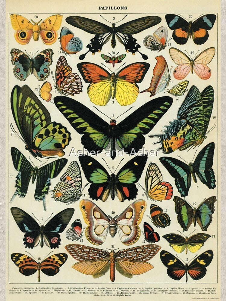 Vintage Butterflies - Darkacademia by Asher-and-Asher T-Shirts, Hoodie, Sweatshirt | BlankRebels.com (Image 3)