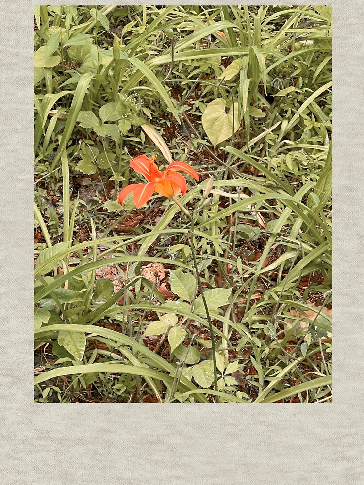 orange flower by abby cartwright T-Shirts, Hoodie, Sweatshirt | BlankRebels.com (Image 3)
