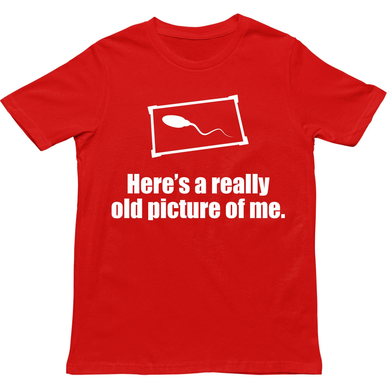Here's a Really Old Picture of Me T Shirt,Funny Sarcastic Unisex T Shirt