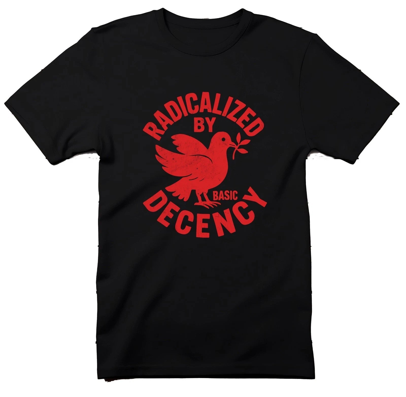 Radicalized By Basic Decency T-Shirt, Peace Dove, Political Tee, Equality Shirt,
