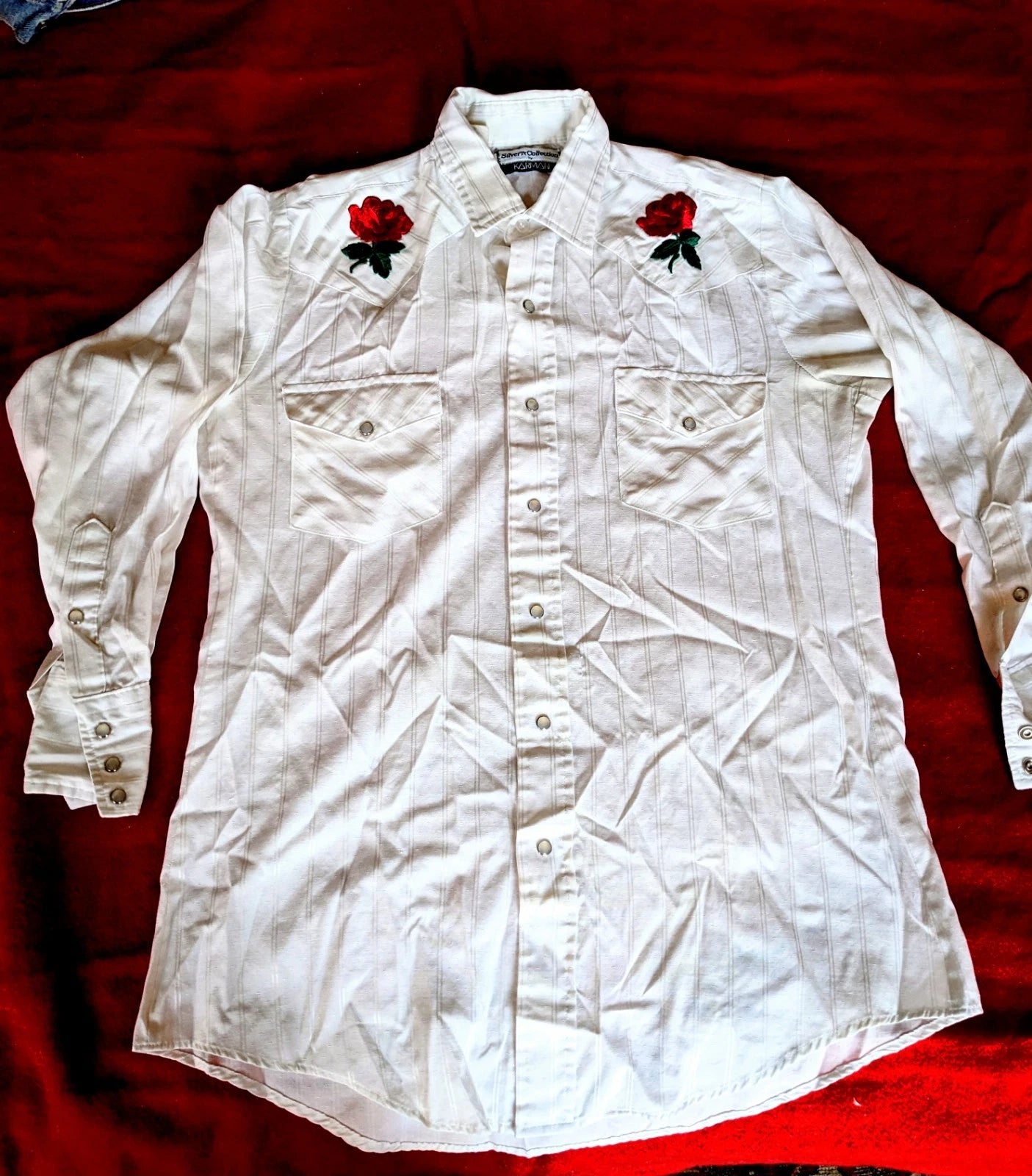 Vintage Embroidered Western Pearl Snap Shirt M 15.5-32