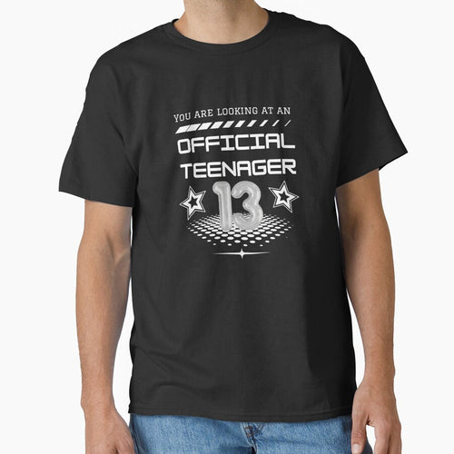 13th Birthday by Toy Fan TV T-Shirts, Hoodie, Sweatshirt | BlankRebels.com (Image 1)