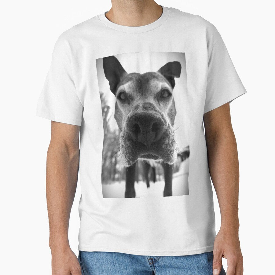 Bear by Solas Photo Co. T-Shirts, Hoodie, Sweatshirt | BlankRebels.com (Image 1)