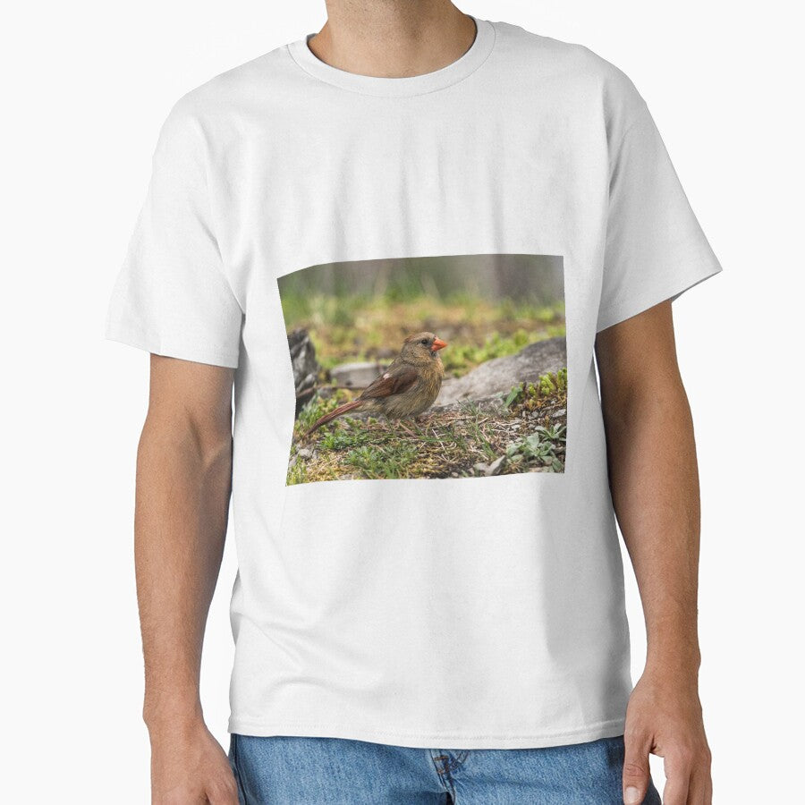 Female Northern Cardinal by Michael Cummings T-Shirts, Hoodie, Sweatshirt | BlankRebels.com (Image 1)