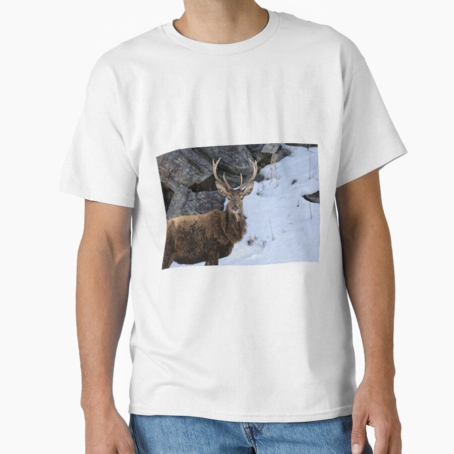 Red deer - Parc Omega, Montebello, PQ by Tracey  Dryka T-Shirts, Hoodie, Sweatshirt | BlankRebels.com (Image 1)