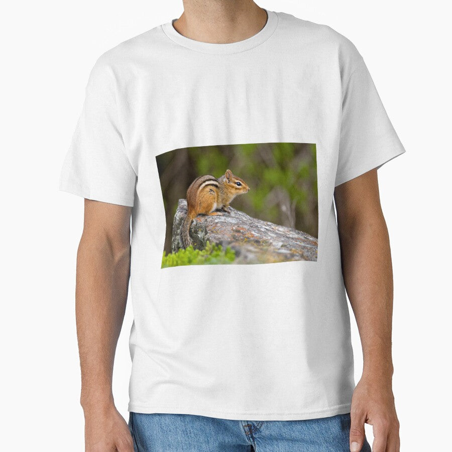 Chipmunk On Rock by Michael Cummings T-Shirts, Hoodie, Sweatshirt | BlankRebels.com (Image 1)